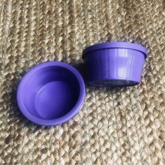 Pet Disc Green Quiet Running Wheel & Purple Dishes for Small Critters Mice Etc. - Picture 6 of 7
